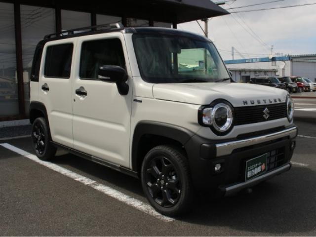 スズキ ハスラー ６６０ タフワイルド R8年 (四国) 99