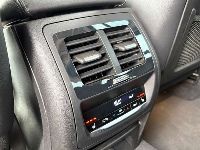 ＢＭＷ Ｘ３ Ｘドライブ２０Ｄ Ｘライン ディーゼルターボ ４ＷＤ H30年 (関東) 99