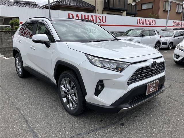 トヨタ ＲＡＶ４ ２．０ Ｇ Ｚパッケージ ４ＷＤ R6年 (中国) 99