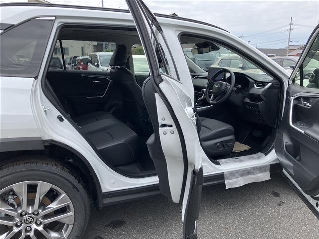 トヨタ ＲＡＶ４ ２．０ Ｇ Ｚパッケージ ４ＷＤ R6年 (中国) 99