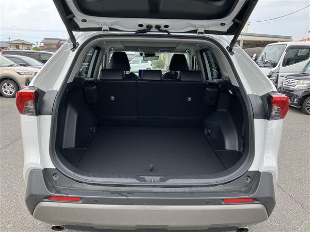 トヨタ ＲＡＶ４ ２．０ Ｇ Ｚパッケージ ４ＷＤ R6年 (中国) 99