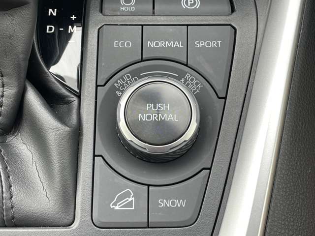 トヨタ ＲＡＶ４ ２．０ アドベンチャー ４ＷＤ R1年 (近畿) 99