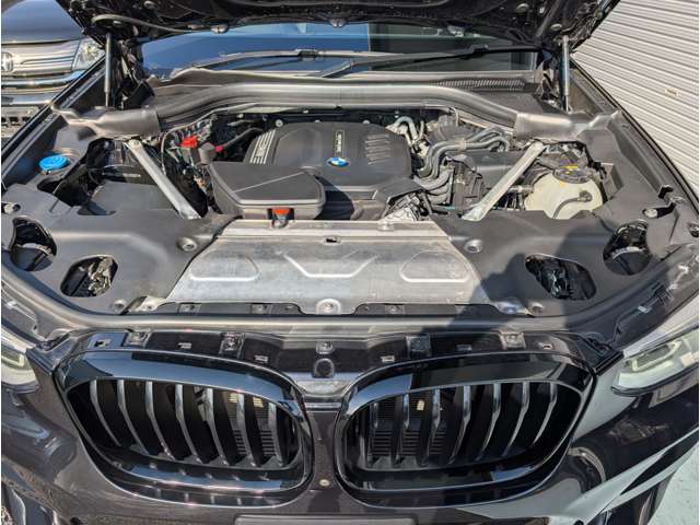 ＢＭＷ Ｘ４ Ｘドライブ２０Ｄ Ｍスポーツ ディーゼルターボ ４ＷＤ R2年 () 99