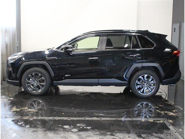 トヨタ ＲＡＶ４ ２．５ ハイブリッド Ｇ Ｅ－ＦＯＵＲ ４ＷＤ R4年 (北海道) 99
