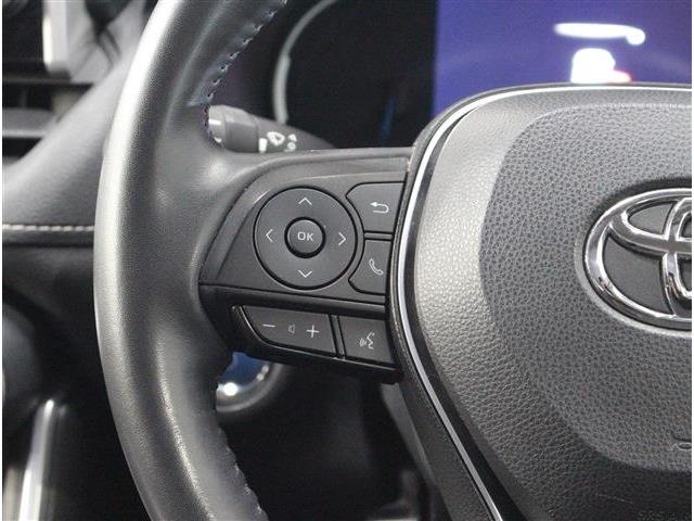 トヨタ ＲＡＶ４ ２．５ ハイブリッド Ｇ Ｅ－ＦＯＵＲ ４ＷＤ R4年 (北海道) 99