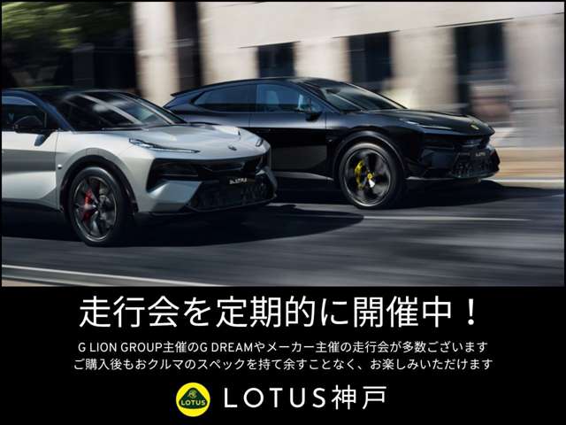 ロータス エリーゼ Ｓ H29年 (近畿) 99