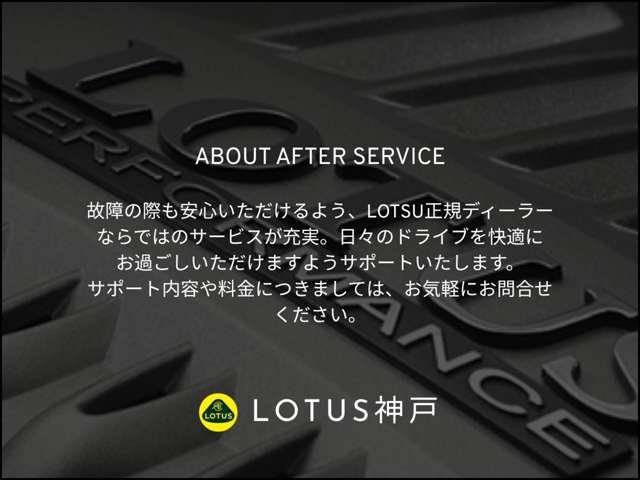 ロータス エリーゼ Ｓ H29年 (近畿) 99