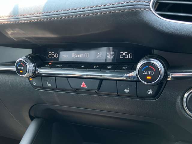 マツダ ＭＡＺＤＡ３　ファストバック ２．０ ２０Ｓ ツーリング R7年 (関東) 99