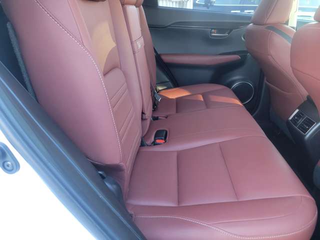 レクサス ＮＸ２００ｔ アーバンスタイル H29年 (関東) 99