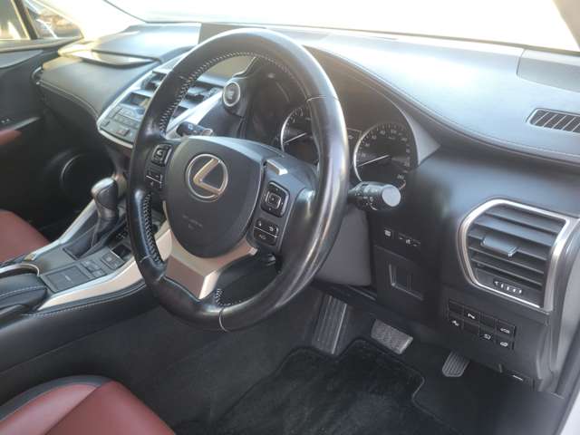 レクサス ＮＸ２００ｔ アーバンスタイル H29年 (関東) 99