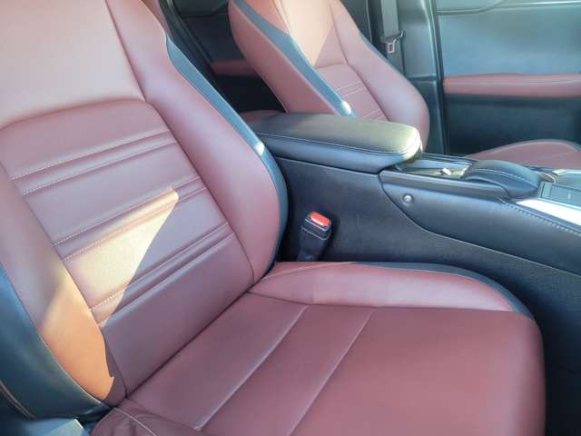 レクサス ＮＸ２００ｔ アーバンスタイル H29年 (関東) 99