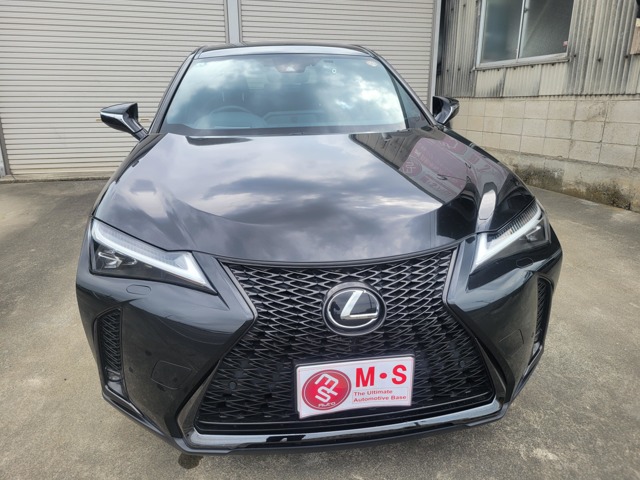 レクサス ＵＸ２５０ｈ Ｆスポーツ R5年 (関東) 99