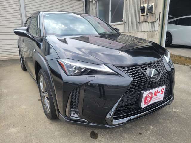 レクサス ＵＸ２５０ｈ Ｆスポーツ R5年 (関東) 99