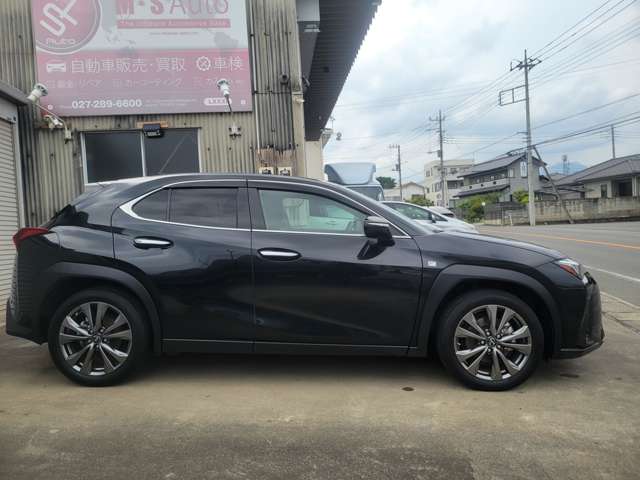 レクサス ＵＸ２５０ｈ Ｆスポーツ R5年 (関東) 99