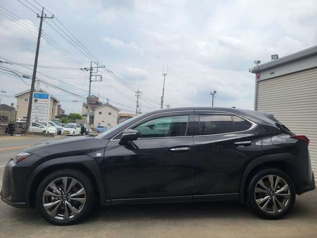 レクサス ＵＸ２５０ｈ Ｆスポーツ R5年 (関東) 99