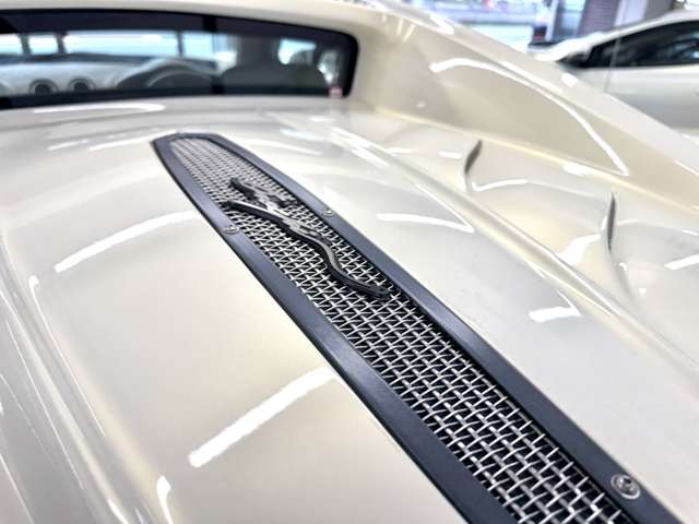 光岡自動車 オロチ ３．３ H19年 (近畿) 99