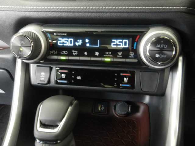トヨタ ＲＡＶ４ ２．０ Ｇ ４ＷＤ R7年 (九州・沖縄) 99