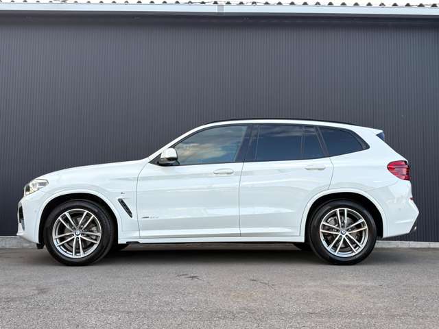 ＢＭＷ Ｘ３ Ｘドライブ２０Ｄ Ｍスポーツ ディーゼルターボ ４ＷＤ H30年 (関東) 99