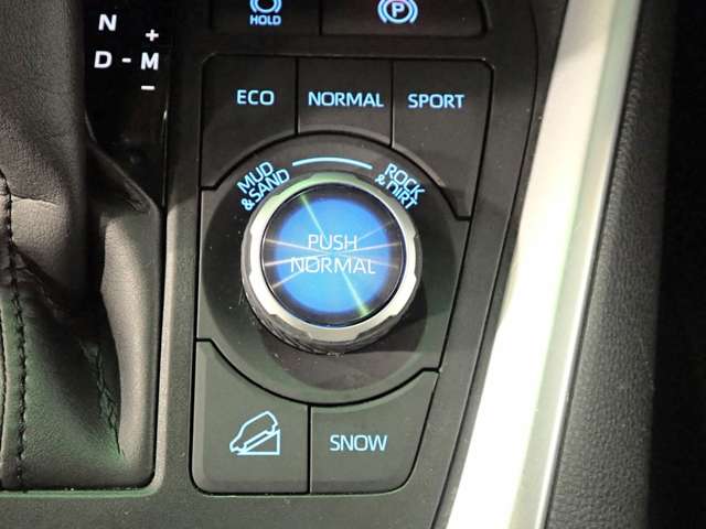 トヨタ ＲＡＶ４ ２．０ Ｇ Ｚパッケージ ４ＷＤ R2年 (近畿) 99