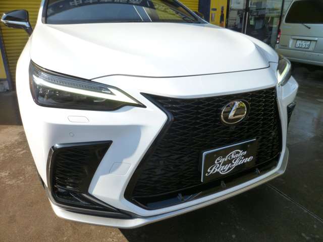 レクサス ＮＸ３５０ｈ Ｆスポーツ R4年 (関東) 99