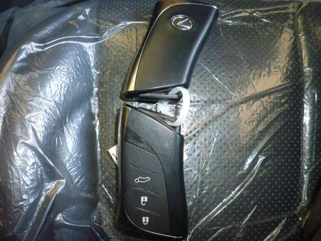 レクサス ＮＸ３５０ｈ Ｆスポーツ R4年 (関東) 99