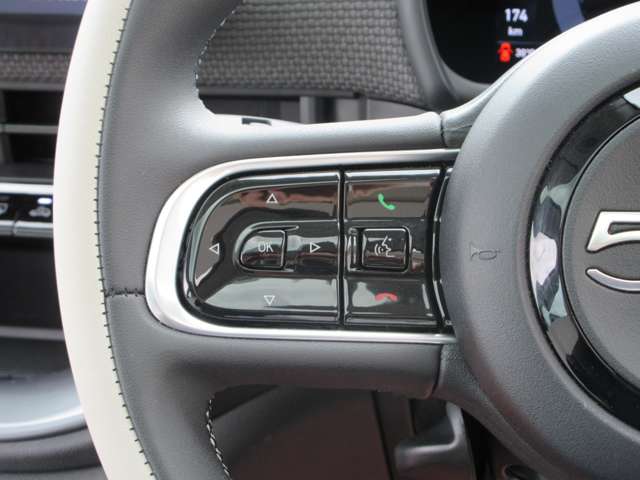 フィアット ５００ｅ アイコン R5年 (近畿) 99