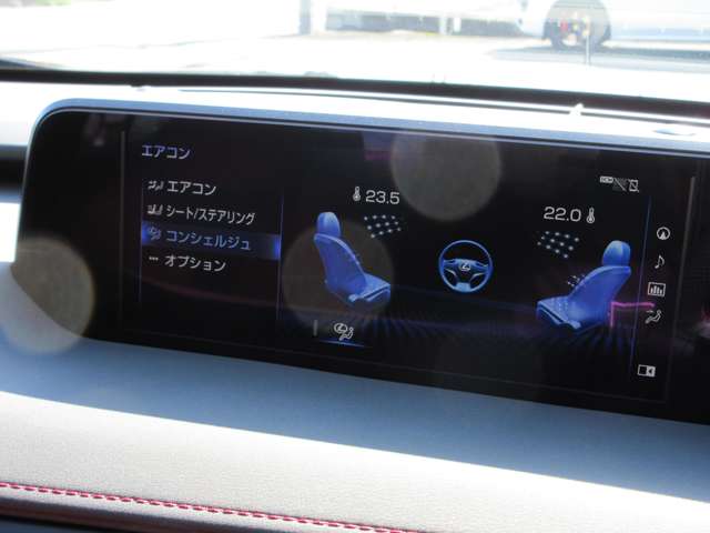 レクサス ＵＸ２００ Ｆスポーツ H30年 (近畿) 99