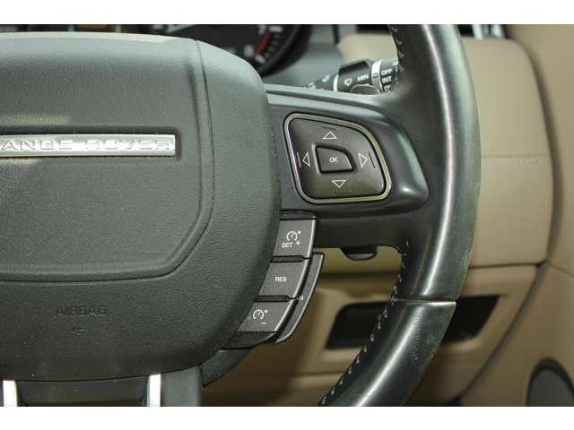 ランドローバー レンジローバーイヴォーク プレステージ ４ＷＤ H25年 (近畿) 99