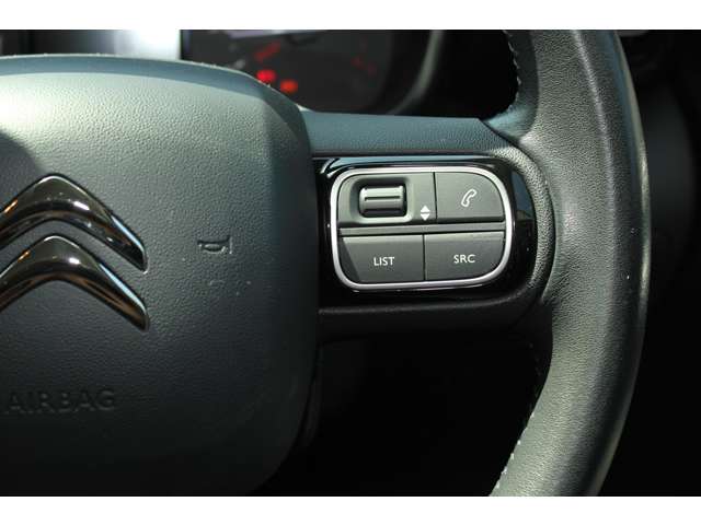 シトロエン Ｃ３　エアクロス　ＳＵＶ Ｃシリーズ　シックエディション R2年 (近畿) 99