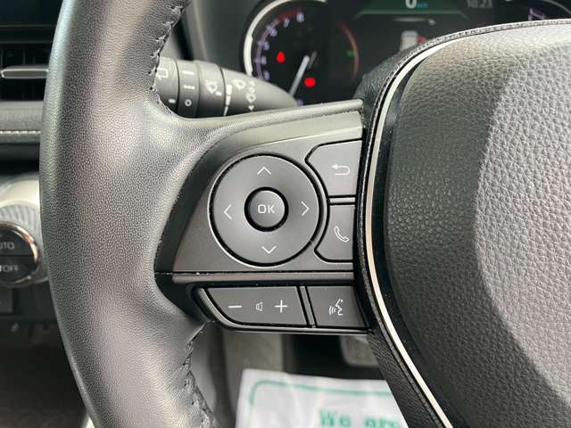 トヨタ ＲＡＶ４ ２．０ Ｇ Ｚパッケージ ４ＷＤ R3年 (東海) 99