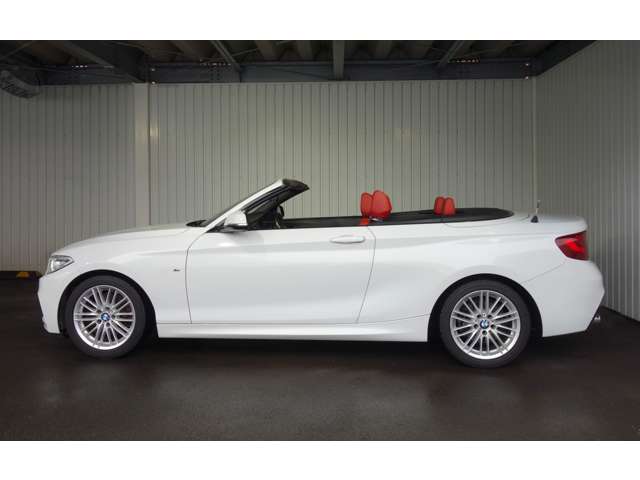 ＢＭＷ ２シリーズ ２２０Ｉ Ｍスポーツ H27年 (北海道) 99