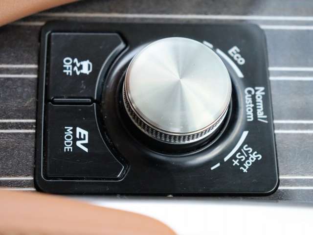 レクサス ＲＸ４５０ｈ ４５０Ｈ バージョンＬ ４ＷＤ R1年 (関東) 99