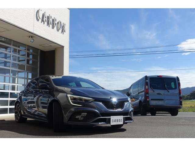 ルノー メガーヌ ルノー・スポール R5年 (東海) 99