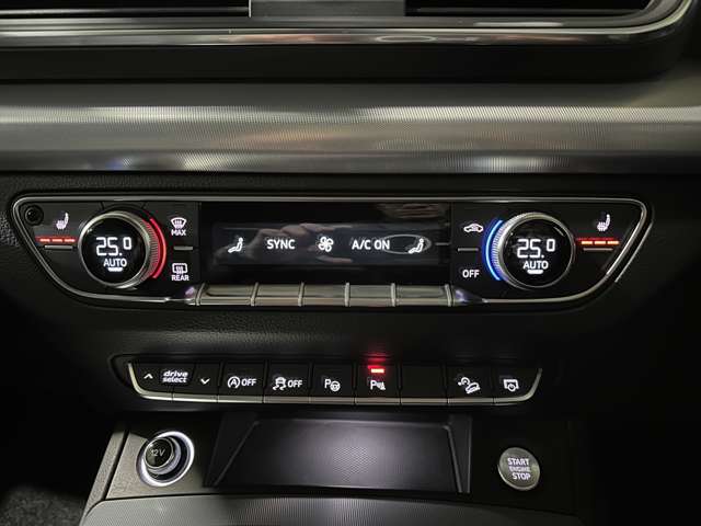 アウディ Ｑ５ ２．０ ＴＦＳＩ クワトロ １ＳＴ エディション ４ＷＤ H29年 (関東) 99