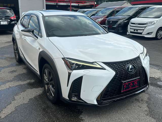 レクサス ＵＸ２５０ｈ Ｆスポーツ R1年 (関東) 99