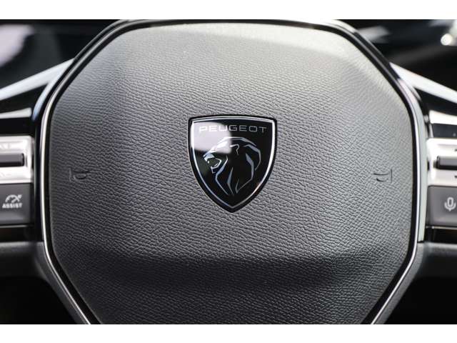 プジョー ３０８ ＧＴ　ピュアテックエディション R5年 (関東) 99