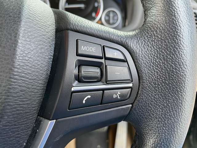 ＢＭＷ Ｘ３ Ｘドライブ２０Ｄ Ｘライン ディーゼルターボ ４ＷＤ H28年 (関東) 99