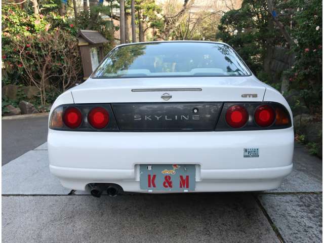 日産 スカイライン ２．０ ＧＴＳ タイプＧ H7年 (関東) 99