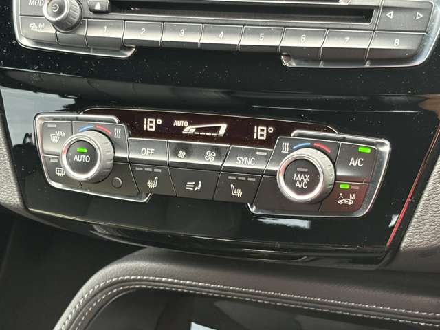 ＢＭＷ Ｘ２ Ｘドライブ２０Ｉ ＭスポーツＸ ４ＷＤ H30年 (東北) 99