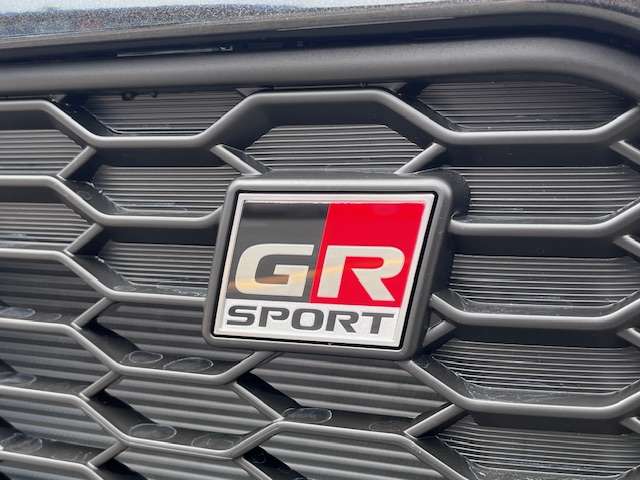 ダイハツ コペン ＧＲ スポーツ ６６０ R8年 (中国) 99