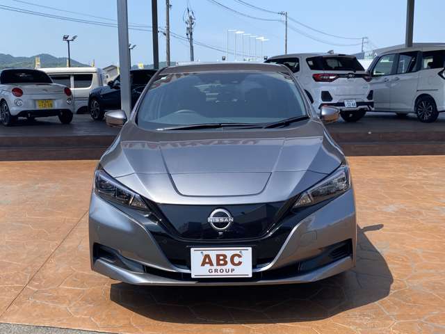 日産 リーフ Ｘ　Ｖセレクション R7年 (中国) 99