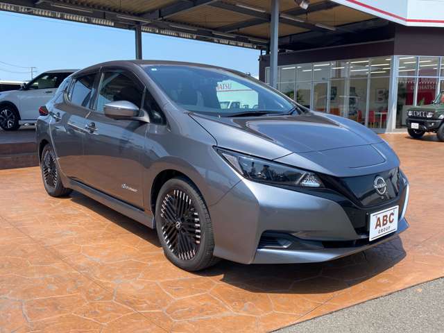 日産 リーフ Ｘ　Ｖセレクション R7年 (中国) 99
