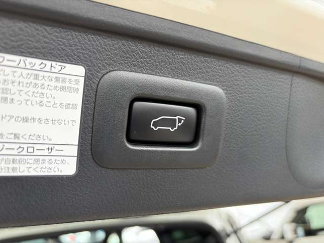 トヨタ アルファード ２．５ Ｓ タイプゴールド R3年 (中国) 99