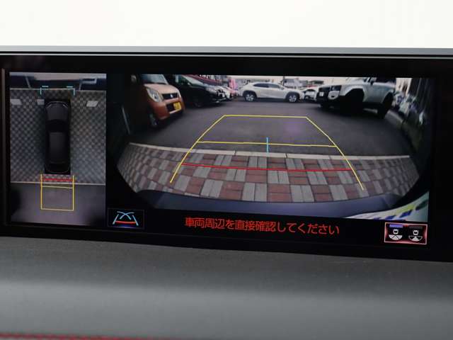 レクサス ＵＸ２５０ｈ Ｆスポーツ R1年 (関東) 99