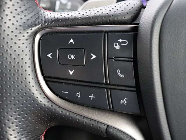 レクサス ＵＸ２５０ｈ Ｆスポーツ R1年 (関東) 99