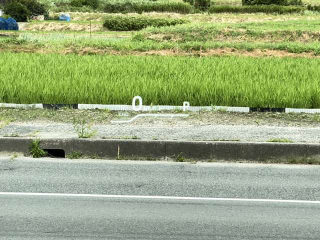 トヨタ クラウン　ハイブリッド ハイブリッド ２．５ ＲＳ アドバンス R1年 (近畿) 99