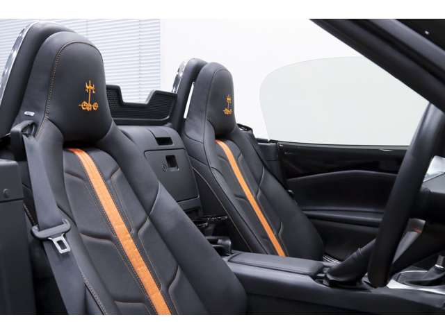 光岡自動車 ロックスター １．５ Ｓ スペシャル パッケージ R1年 (関東) 99
