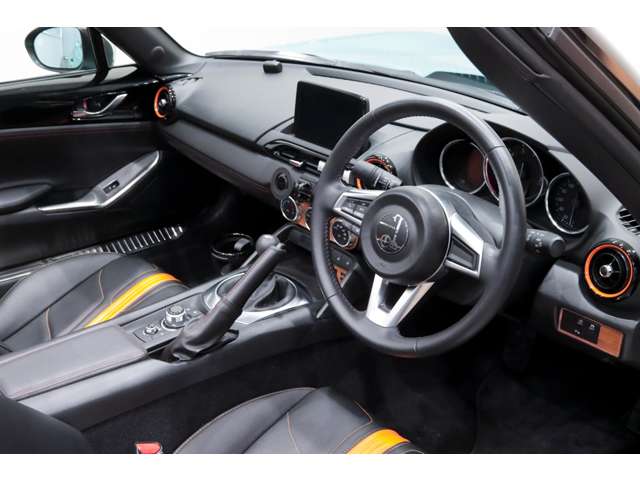 光岡自動車 ロックスター １．５ Ｓ スペシャル パッケージ R1年 (関東) 99
