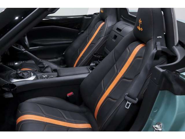 光岡自動車 ロックスター １．５ Ｓ スペシャル パッケージ R1年 (関東) 99