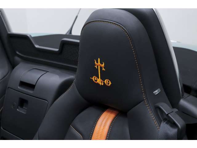 光岡自動車 ロックスター １．５ Ｓ スペシャル パッケージ R1年 (関東) 99